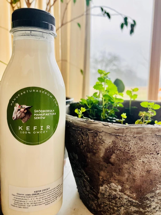 owczy kefir - Srebrny Medal ARCYSER 2026
