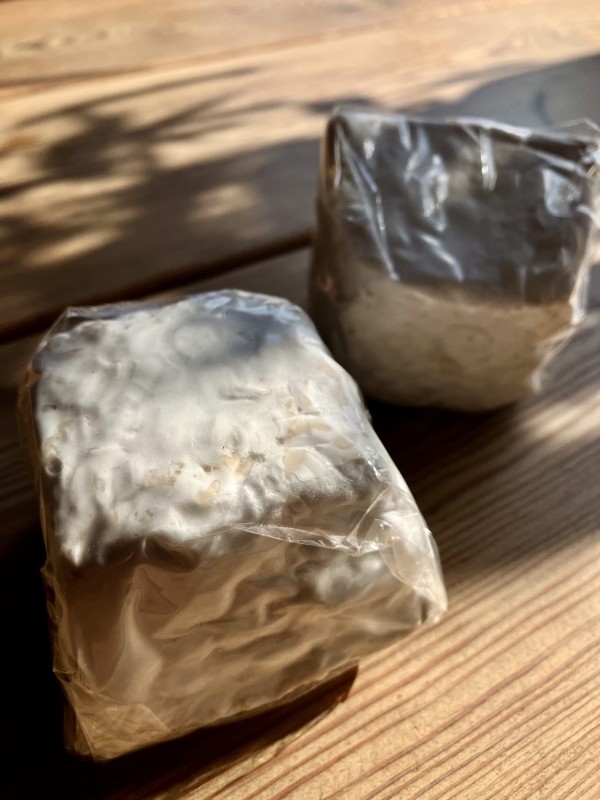 pleśniowa piramidka od Muusi